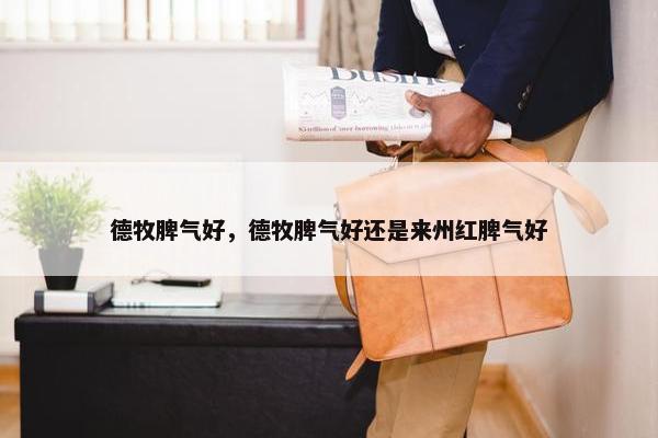 德牧脾气好，德牧脾气好还是来州红脾气好
