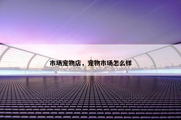市场宠物店，宠物市场怎么样