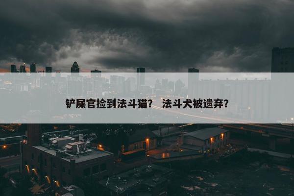 铲屎官捡到法斗猫？ 法斗犬被遗弃？