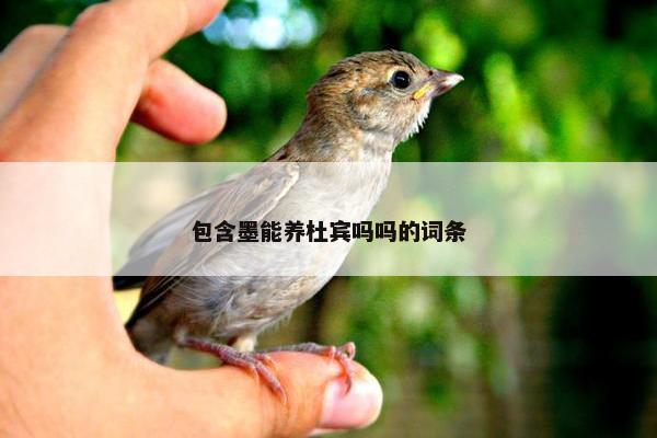包含墨能养杜宾吗吗的词条