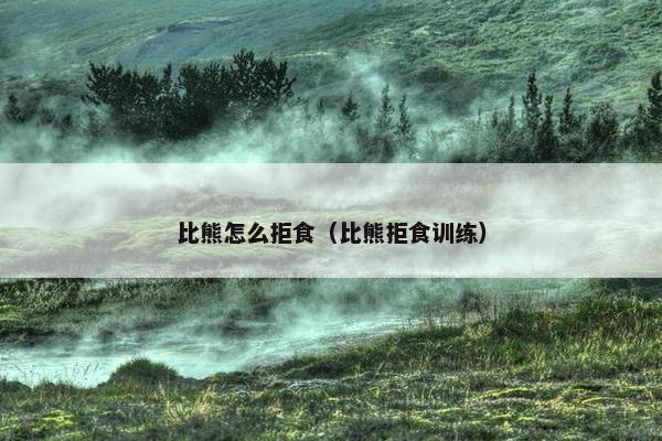 比熊怎么拒食（比熊拒食训练）