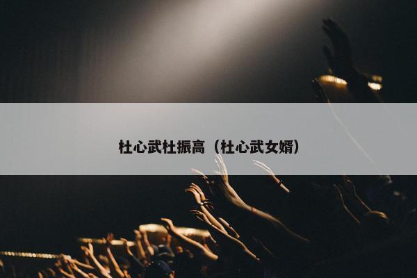 杜心武杜振高（杜心武女婿）