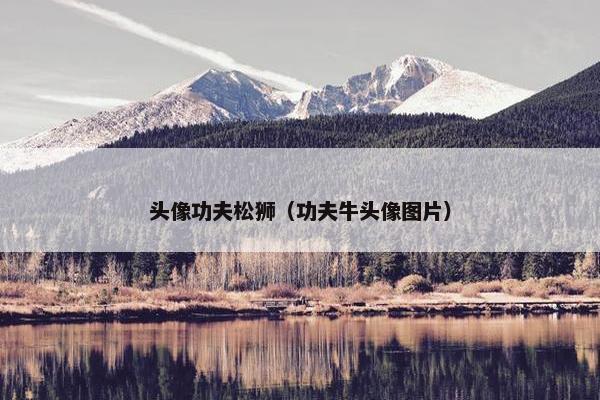 头像功夫松狮（功夫牛头像图片）