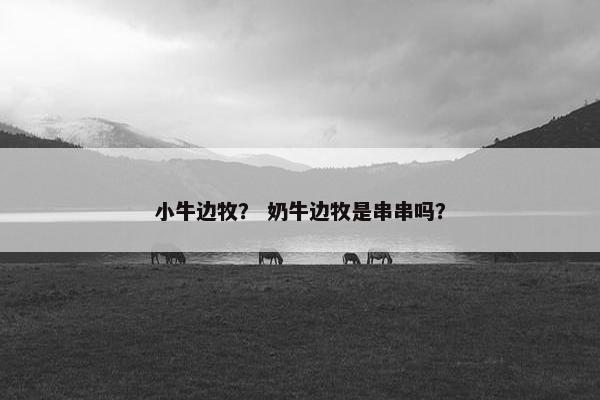 小牛边牧？ 奶牛边牧是串串吗？