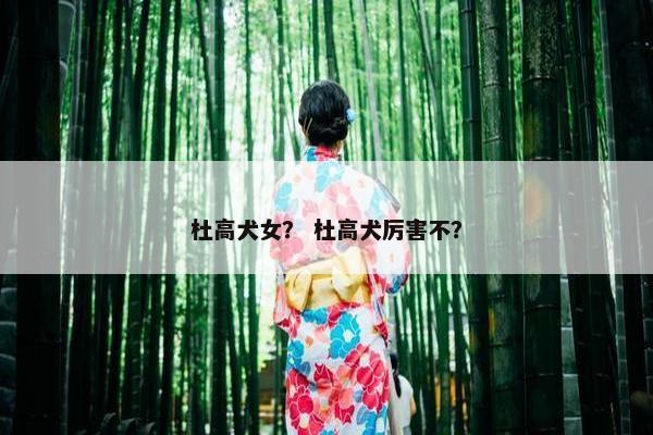 杜高犬女？ 杜高犬厉害不？