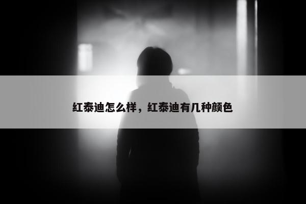 红泰迪怎么样，红泰迪有几种颜色