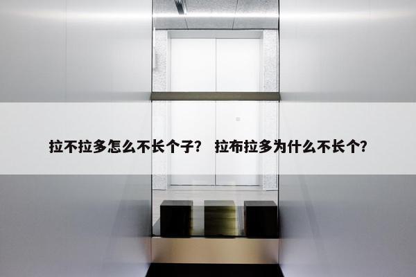拉不拉多怎么不长个子？ 拉布拉多为什么不长个？