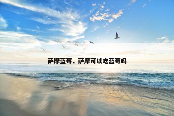 萨摩蓝莓，萨摩可以吃蓝莓吗