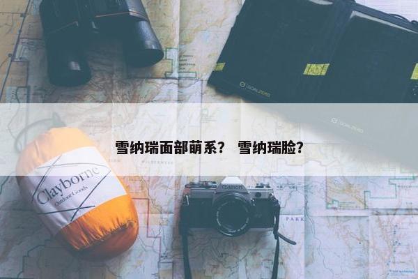 雪纳瑞面部萌系？ 雪纳瑞脸？