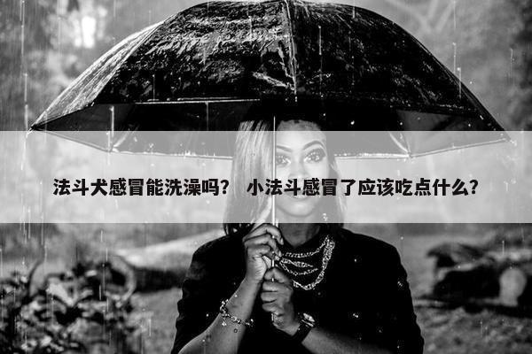 法斗犬感冒能洗澡吗？ 小法斗感冒了应该吃点什么？