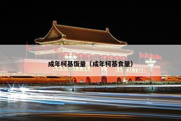 成年柯基饭量（成年柯基食量）