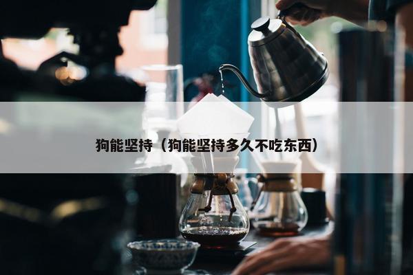 狗能坚持（狗能坚持多久不吃东西）
