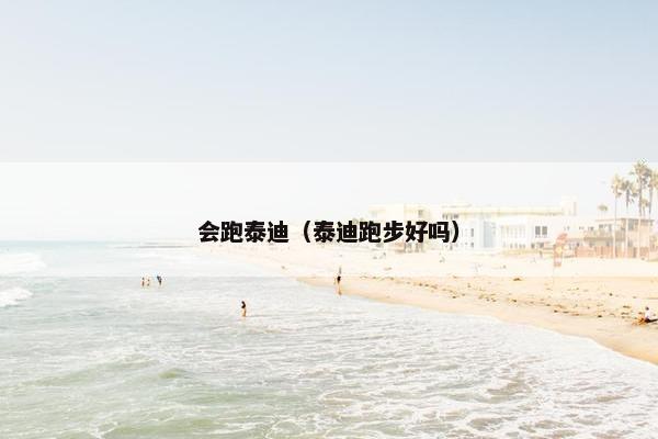 会跑泰迪（泰迪跑步好吗）