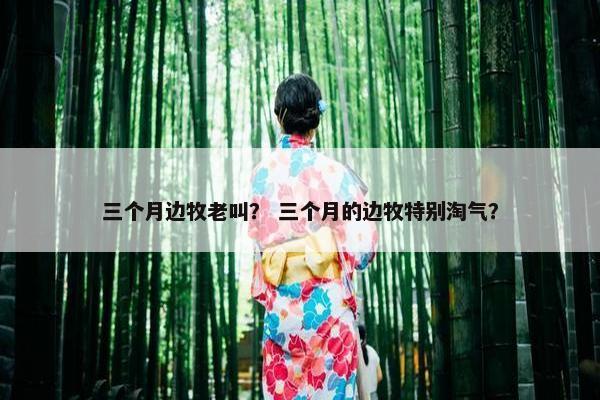 三个月边牧老叫？ 三个月的边牧特别淘气？