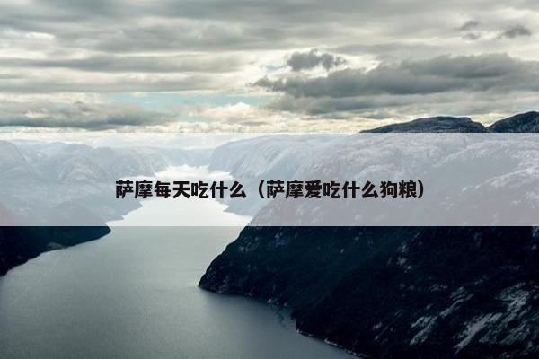 萨摩每天吃什么（萨摩爱吃什么狗粮）