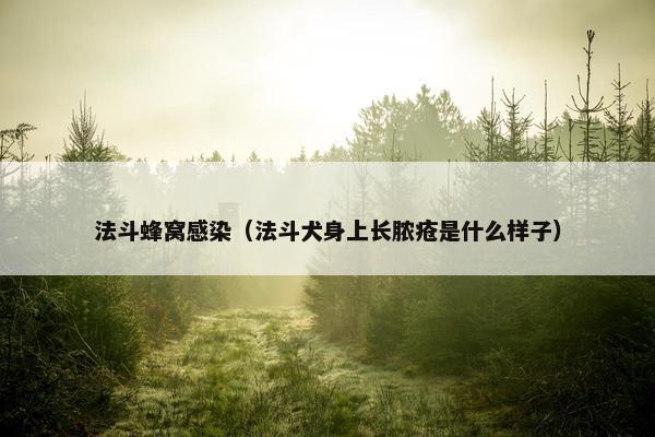 法斗蜂窝感染（法斗犬身上长脓疮是什么样子）