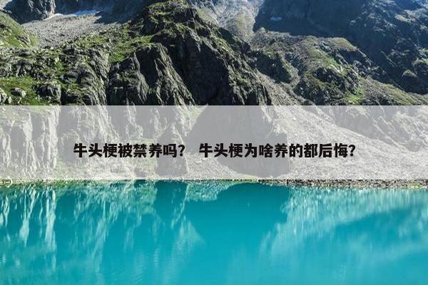 牛头梗被禁养吗？ 牛头梗为啥养的都后悔？