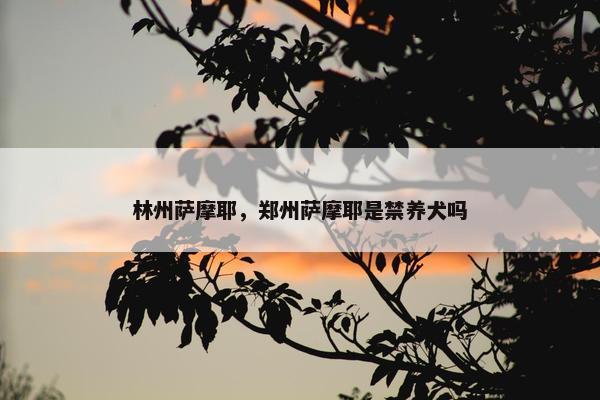 林州萨摩耶，郑州萨摩耶是禁养犬吗