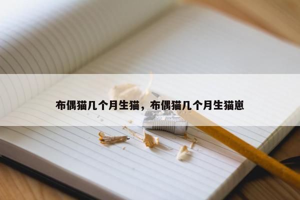 布偶猫几个月生猫，布偶猫几个月生猫崽