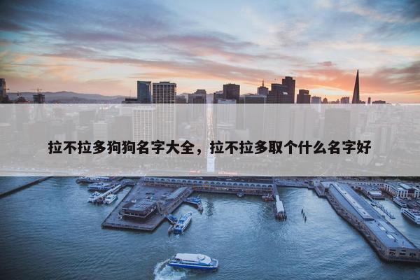 拉不拉多狗狗名字大全，拉不拉多取个什么名字好