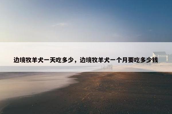 边境牧羊犬一天吃多少，边境牧羊犬一个月要吃多少钱