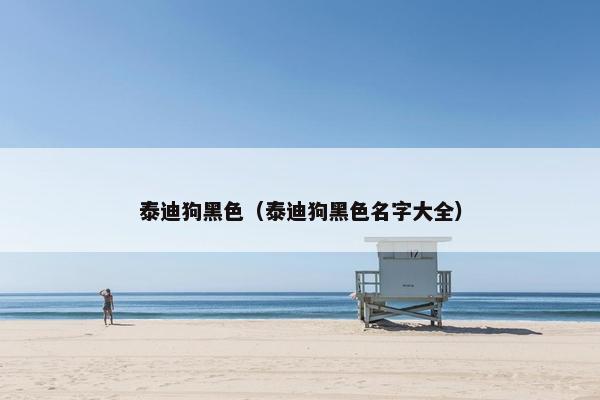 泰迪狗黑色（泰迪狗黑色名字大全）