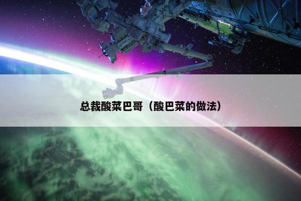 总裁酸菜巴哥（酸巴菜的做法）