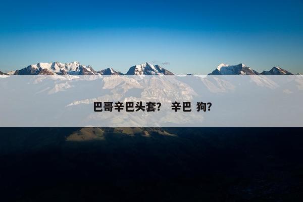巴哥辛巴头套？ 辛巴 狗？