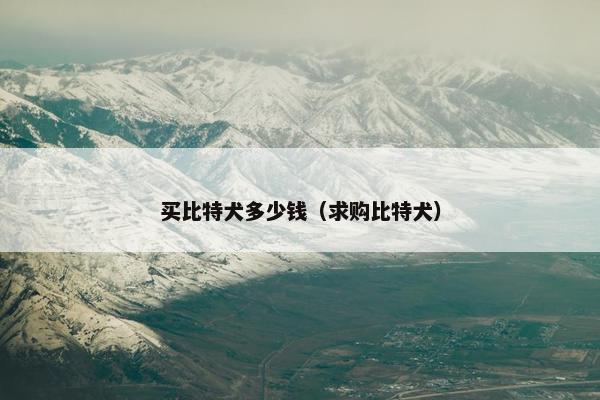 买比特犬多少钱（求购比特犬）