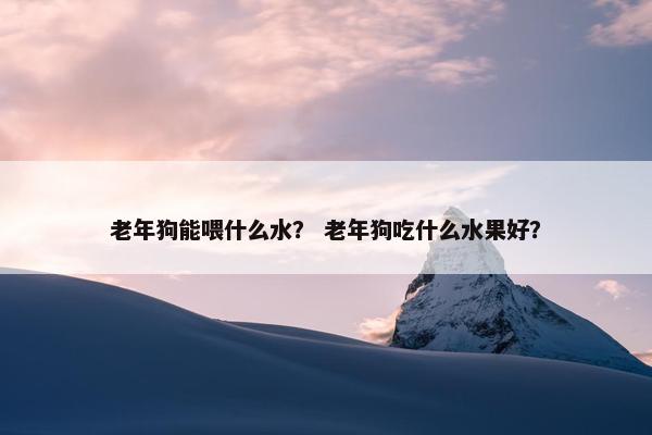 老年狗能喂什么水？ 老年狗吃什么水果好？