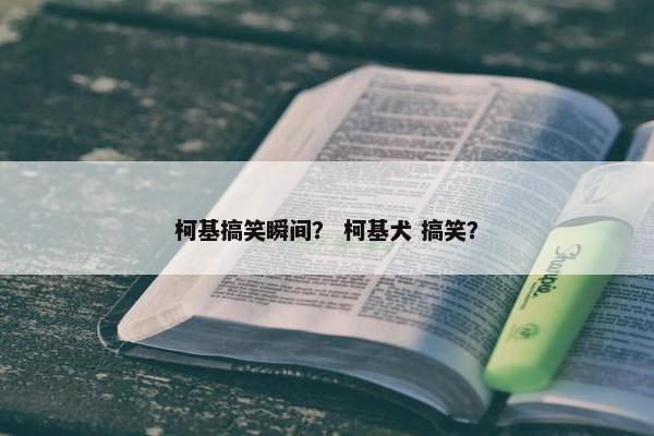 柯基搞笑瞬间？ 柯基犬 搞笑？