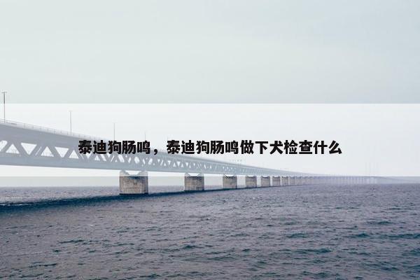 泰迪狗肠鸣，泰迪狗肠鸣做下犬检查什么