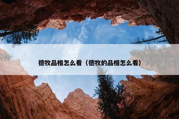 德牧品相怎么看（德牧的品相怎么看）