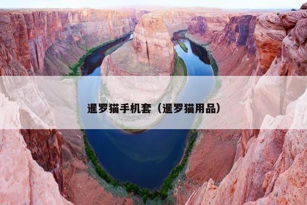 暹罗猫手机套（暹罗猫用品）