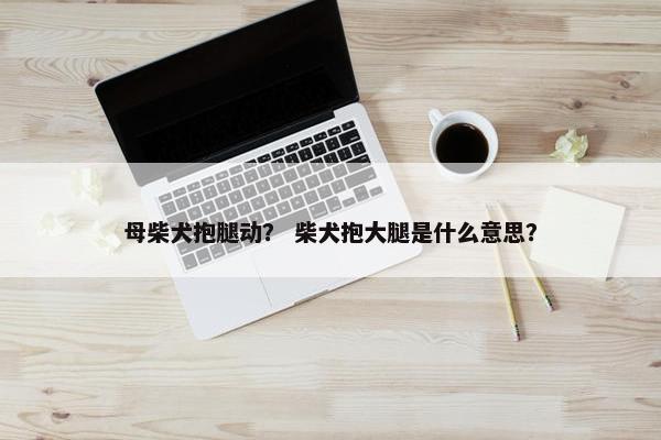 母柴犬抱腿动？ 柴犬抱大腿是什么意思？