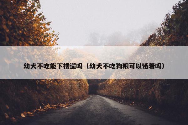 幼犬不吃能下楼遛吗（幼犬不吃狗粮可以饿着吗）