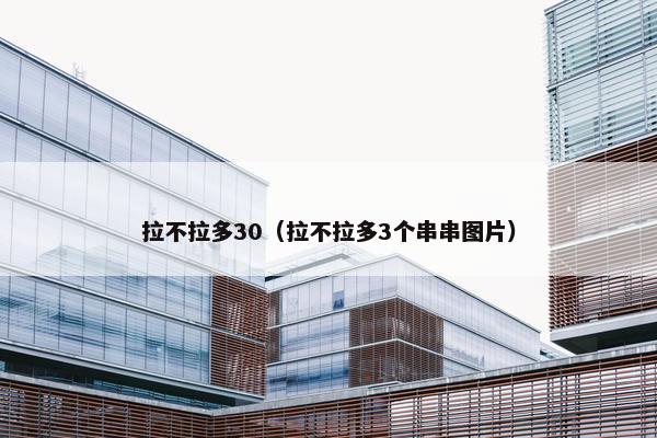 拉不拉多30（拉不拉多3个串串图片）