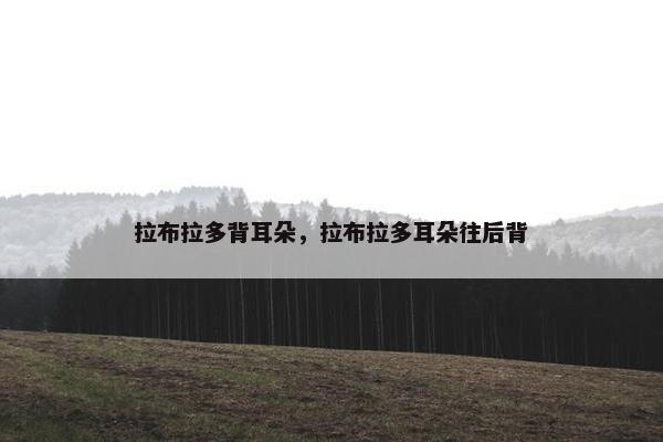 拉布拉多背耳朵，拉布拉多耳朵往后背