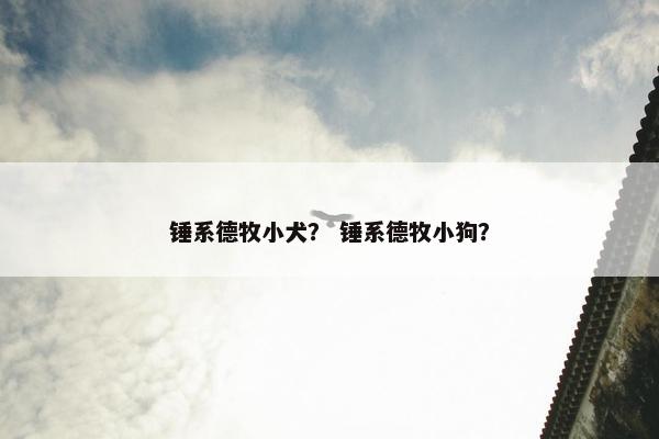 锤系德牧小犬？ 锤系德牧小狗？