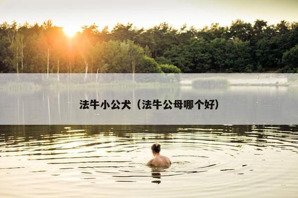 法牛小公犬（法牛公母哪个好）