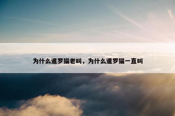 为什么暹罗猫老叫，为什么暹罗猫一直叫
