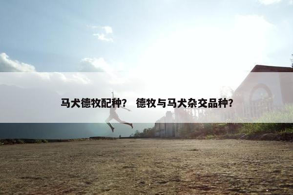马犬德牧配种？ 德牧与马犬杂交品种？