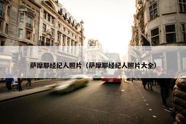 萨摩耶经纪人照片（萨摩耶经纪人照片大全）
