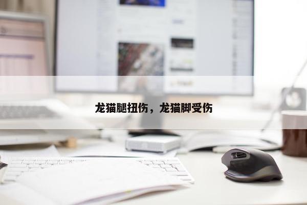 龙猫腿扭伤，龙猫脚受伤