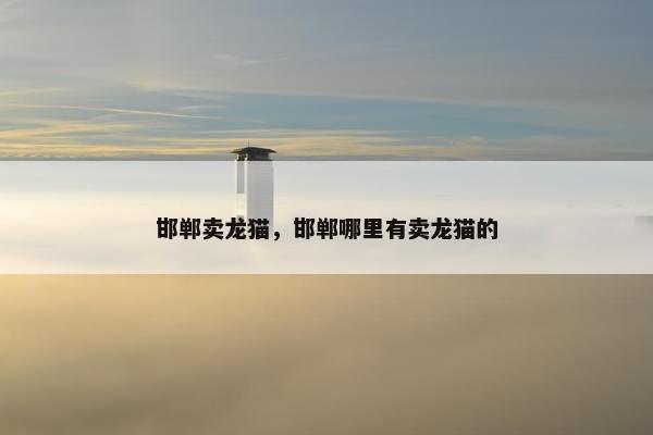 邯郸卖龙猫，邯郸哪里有卖龙猫的