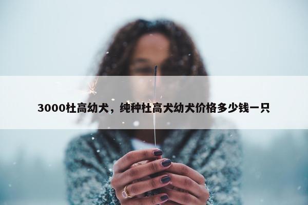3000杜高幼犬，纯种杜高犬幼犬价格多少钱一只