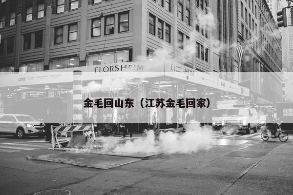 金毛回山东（江苏金毛回家）
