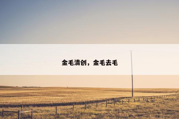 金毛清创，金毛去毛