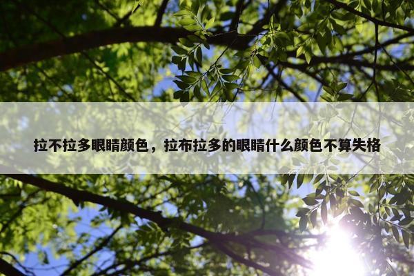 拉不拉多眼睛颜色，拉布拉多的眼睛什么颜色不算失格
