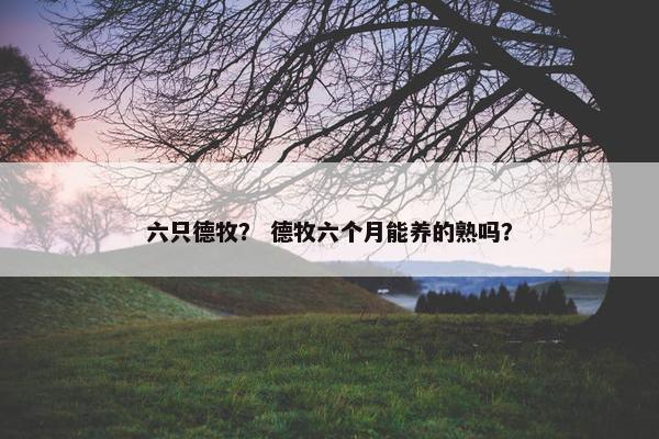 六只德牧？ 德牧六个月能养的熟吗？